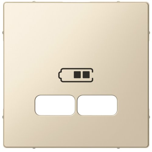 Лицевая панель Schneider Electric Merten System M для 2-м. розетки USB бежевый картинка